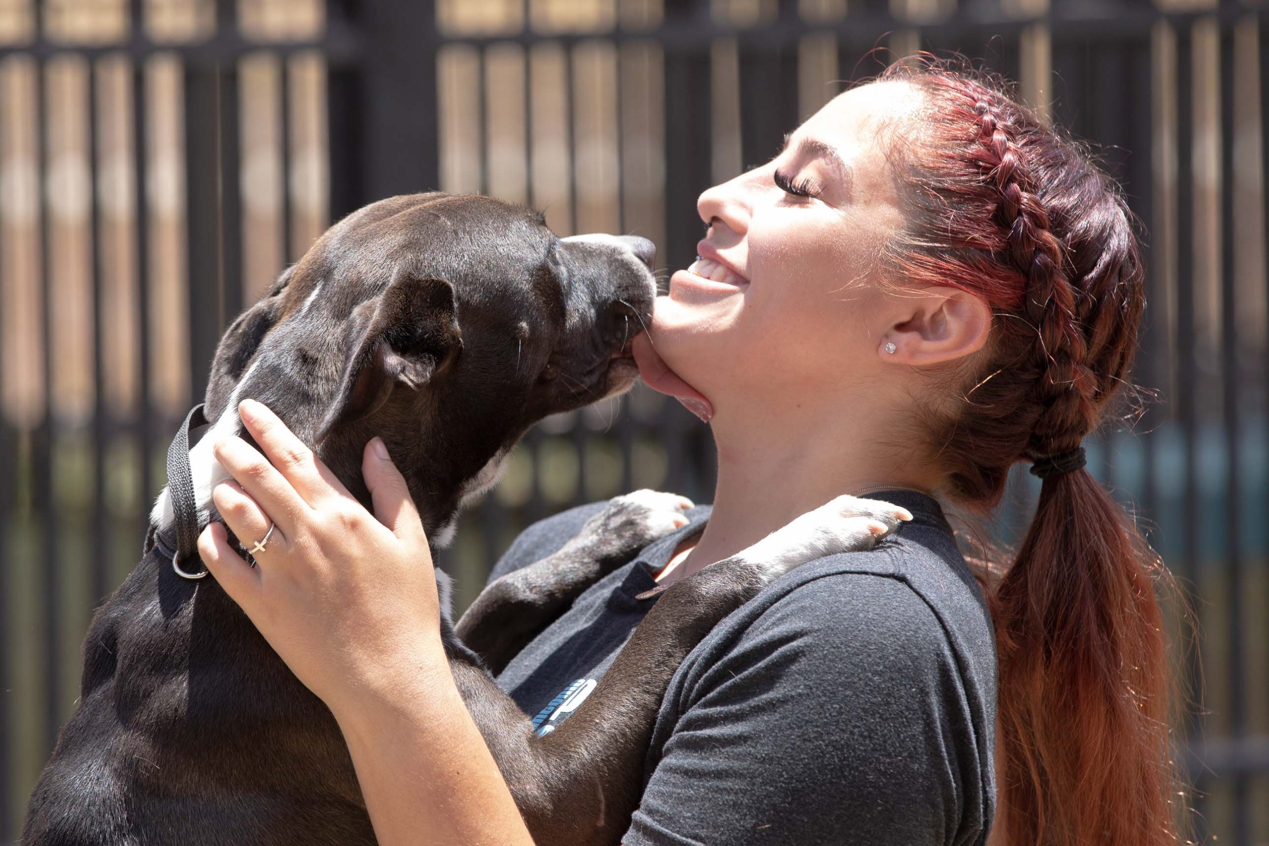 San Antonio groups race to save pets from euthanasia