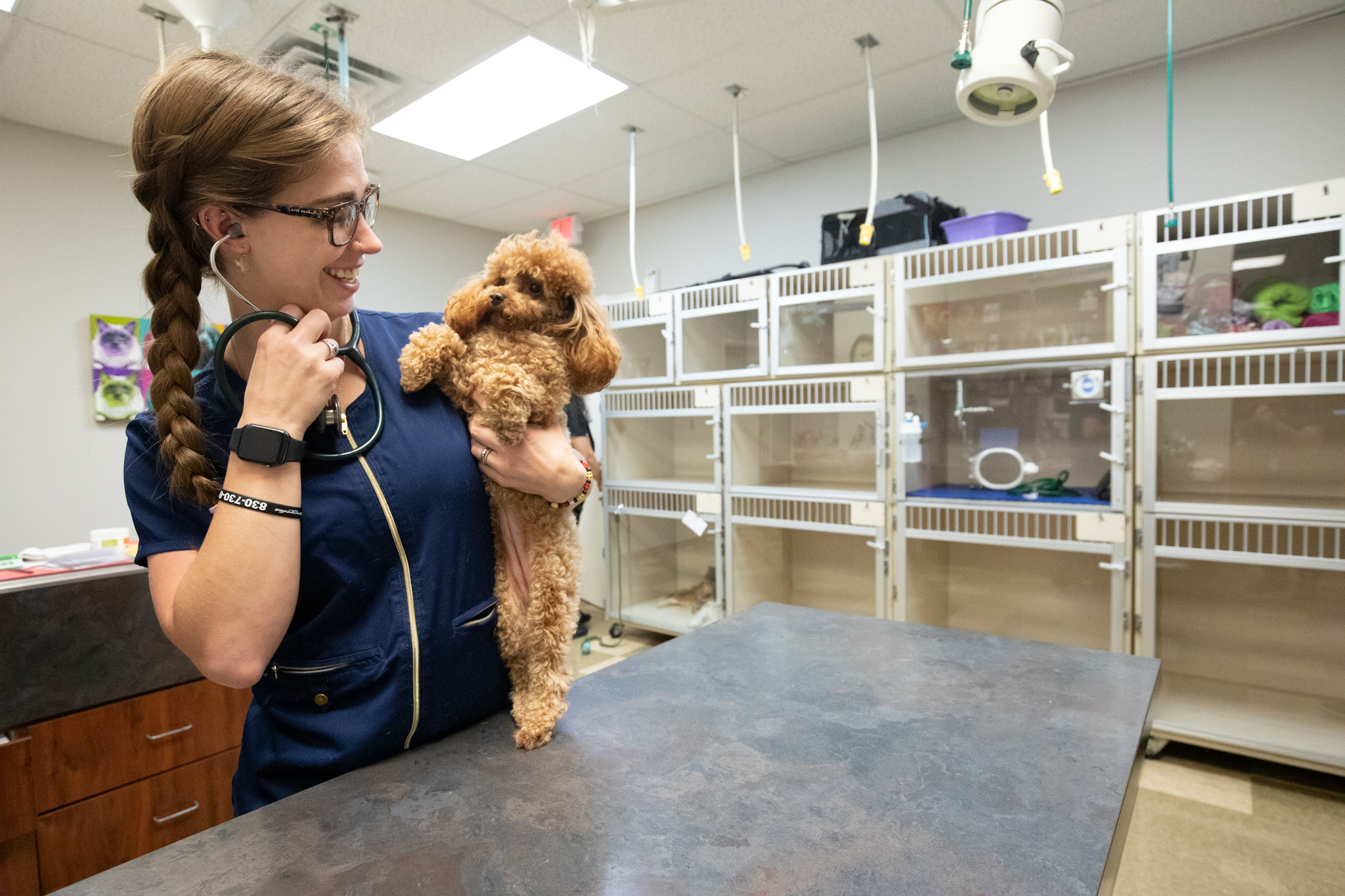 Where I Work Alamo Hills Animal Hospital