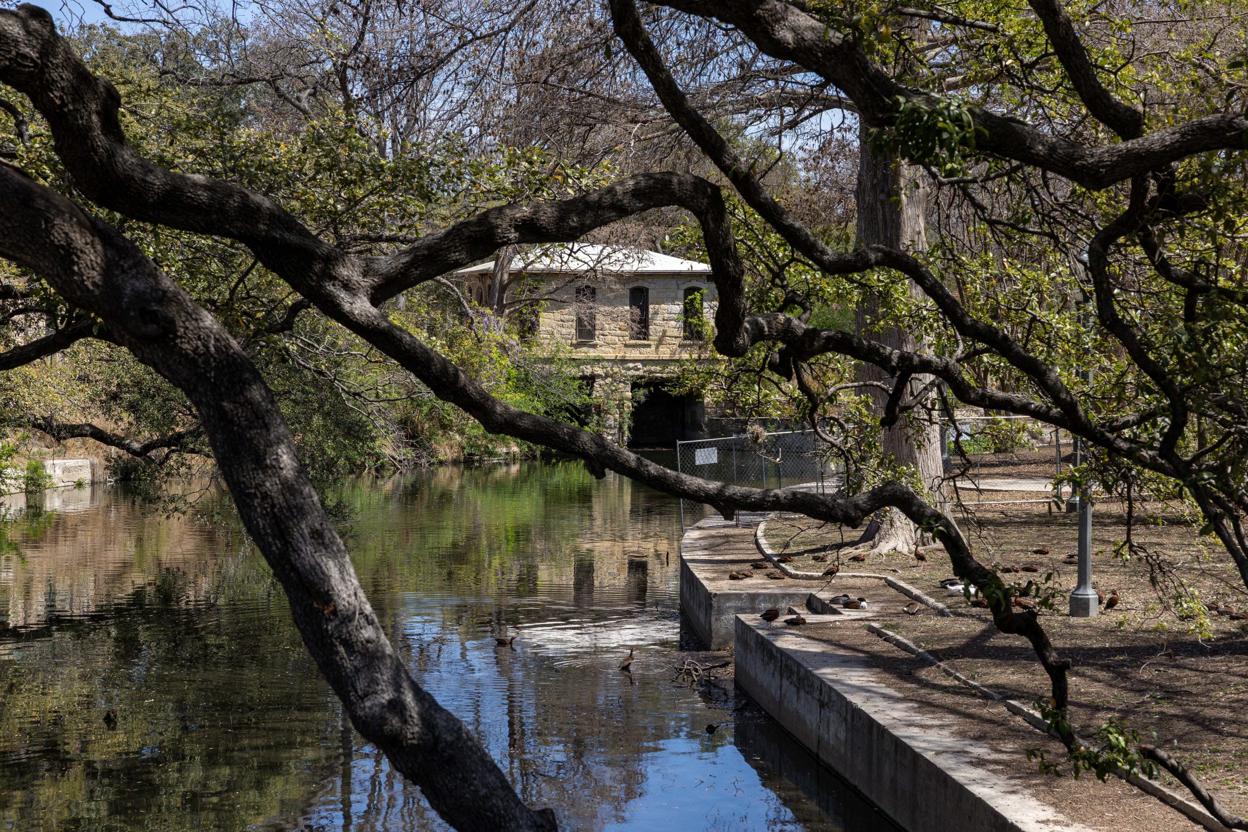 Delayed rehab plan for Brackenridge Park will get approval by panel