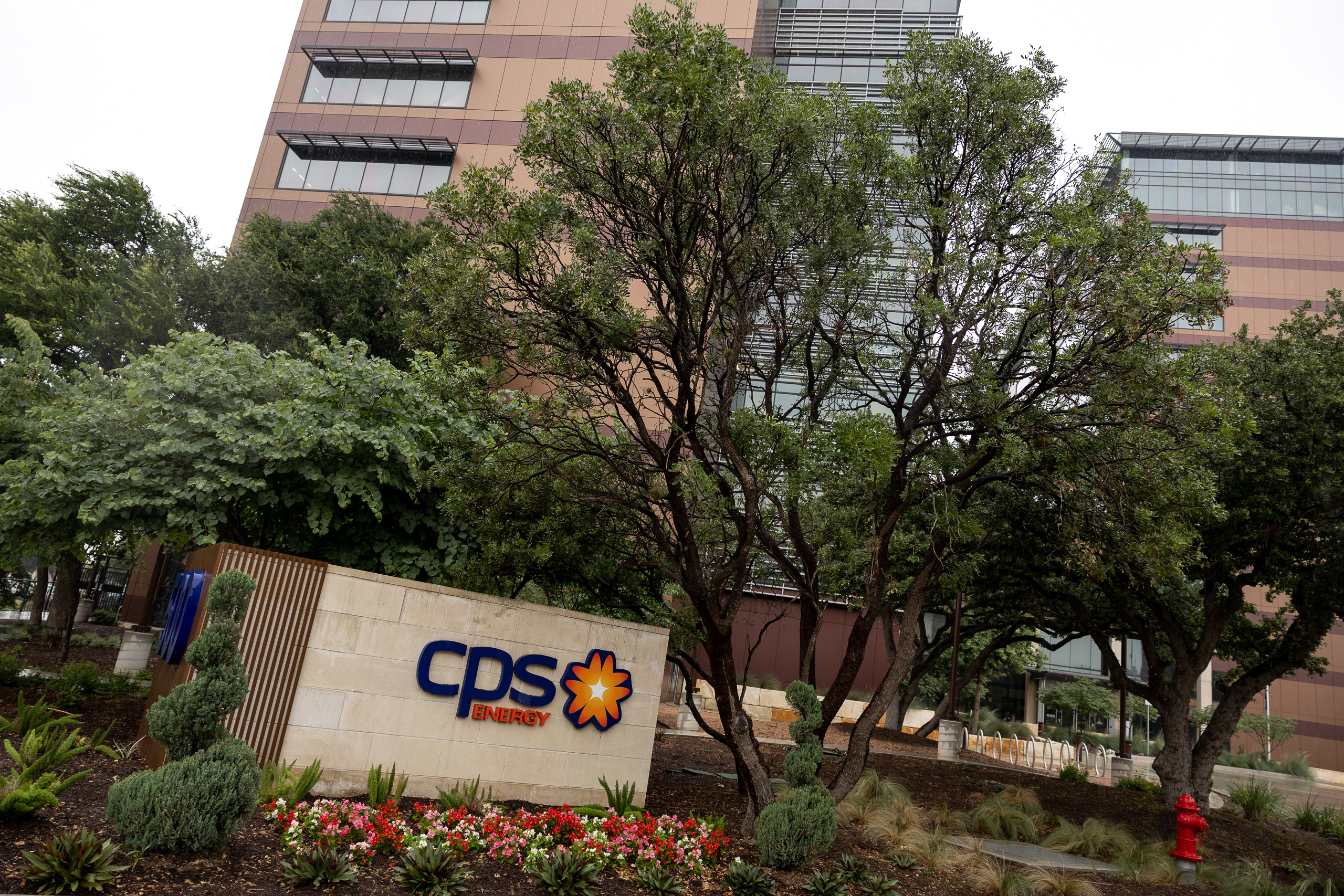 CPS Vitality to sort out  million price range shortfall later in 2026