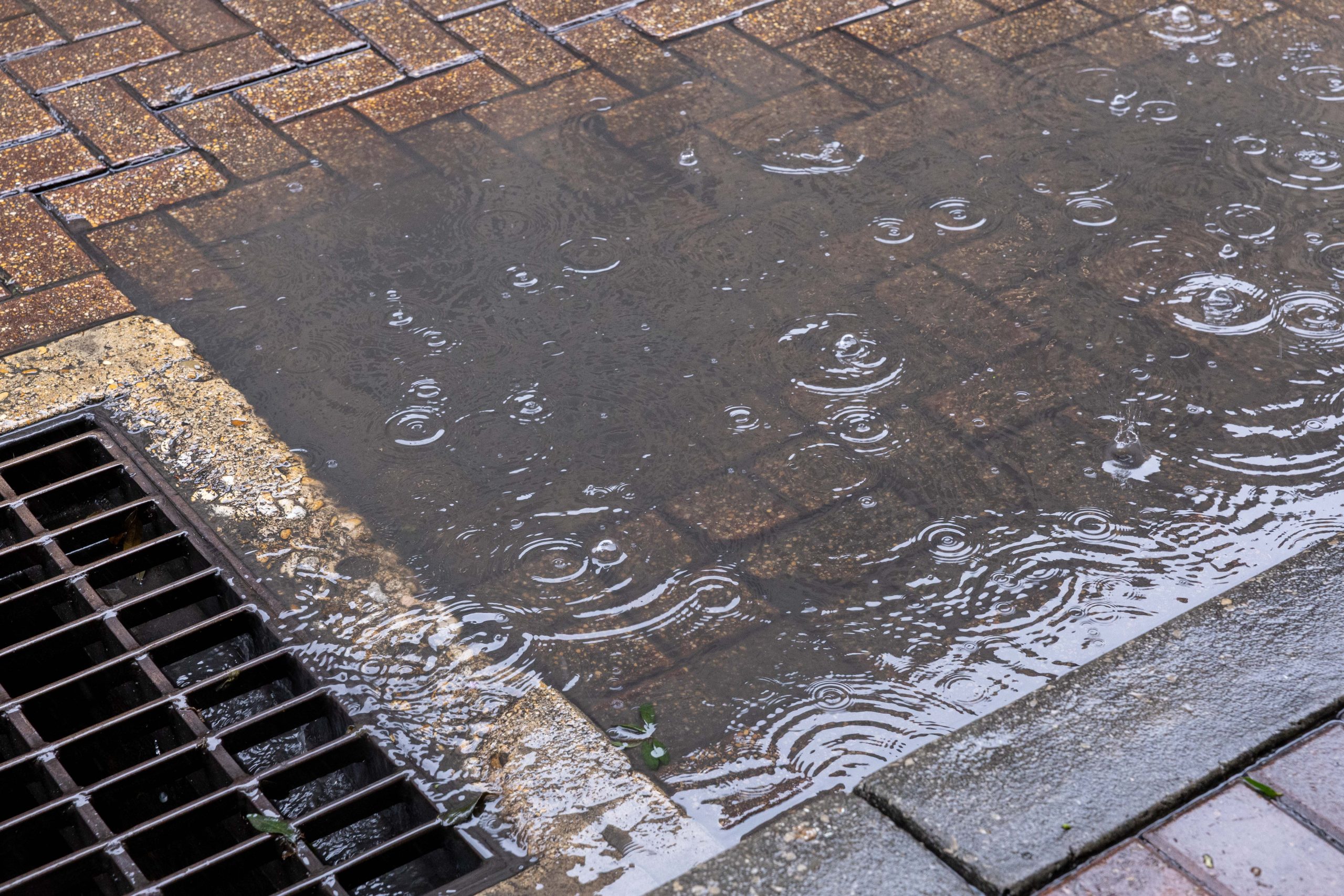 May current rains, incoming El Niño assist San Antonio’s drought?